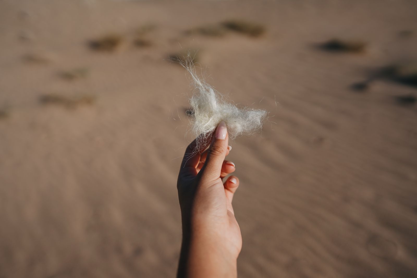 زيارة إلى المصنع